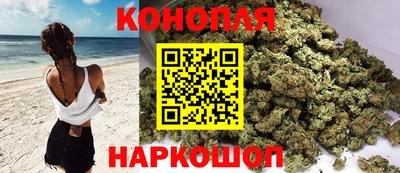 шишки Партизанск